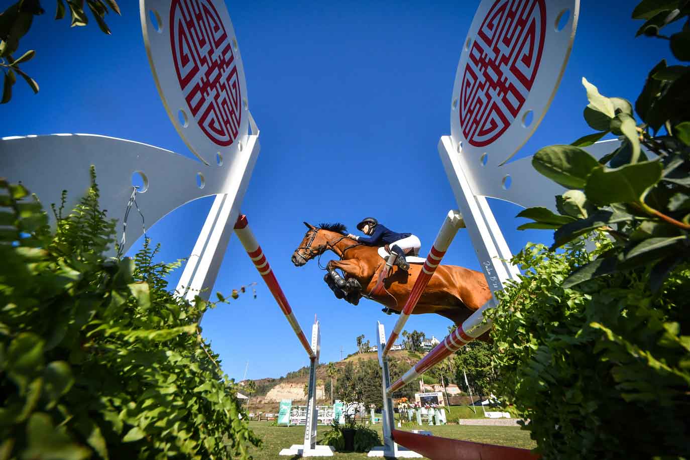 Horse jumping with blue sky